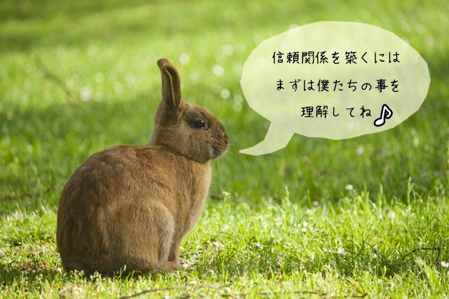 困ったウサギの行動を理解する必要性